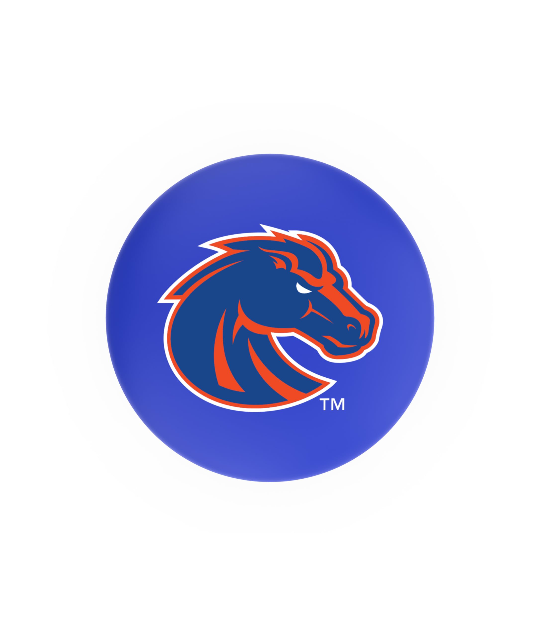 L8B3C Boise State 25