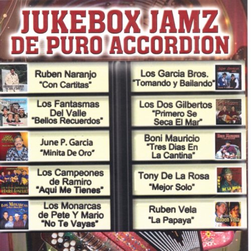 Best Accordion For Corridos 10Reviewz