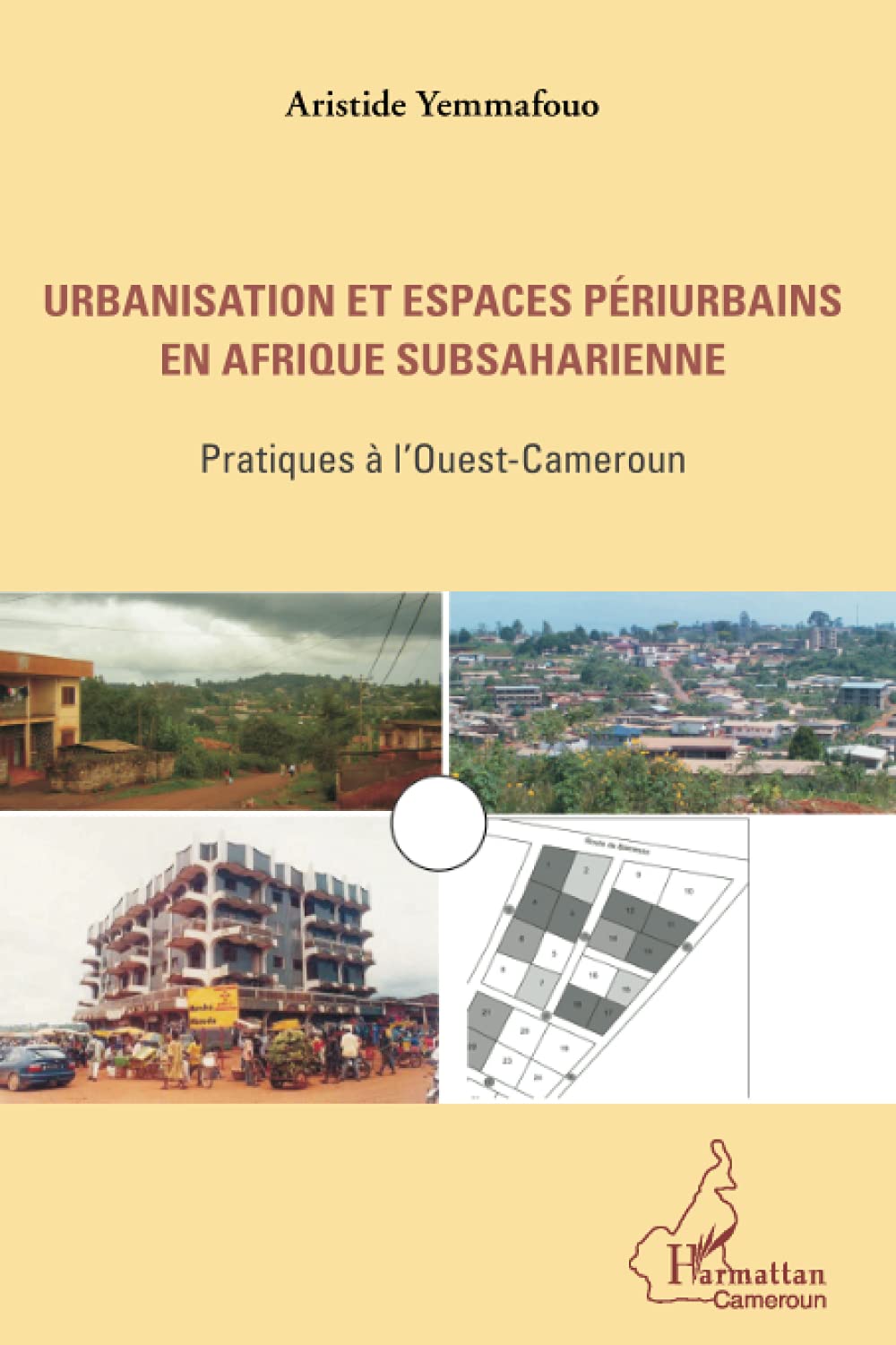 Urbanisation en Afrique subsaharienne : étude de l'Ouest-Cameroun