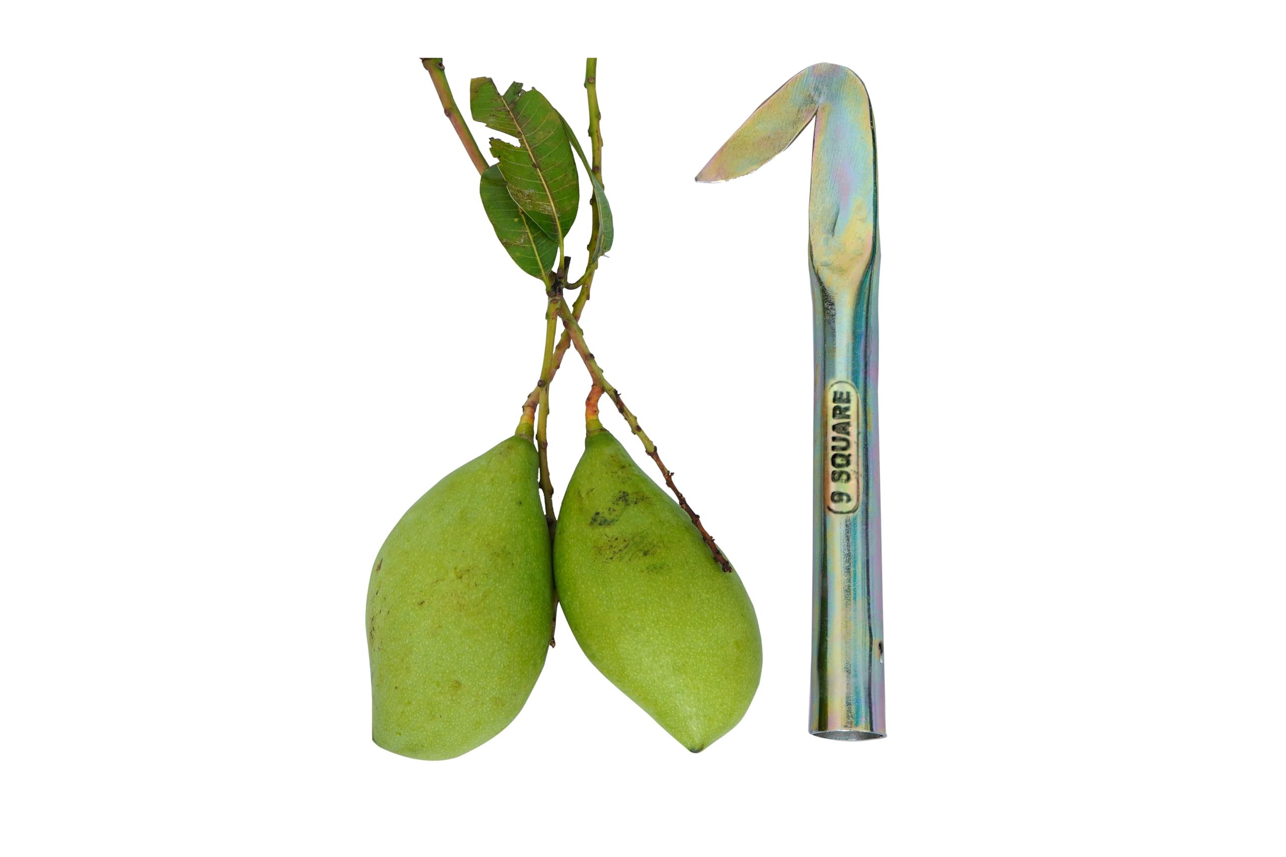 9 SQUARE Fruit Picker | Garden Leaf Picker | Thoratti Kathi | Garden Tool Hook Without Stick | Pack of 1-image-18