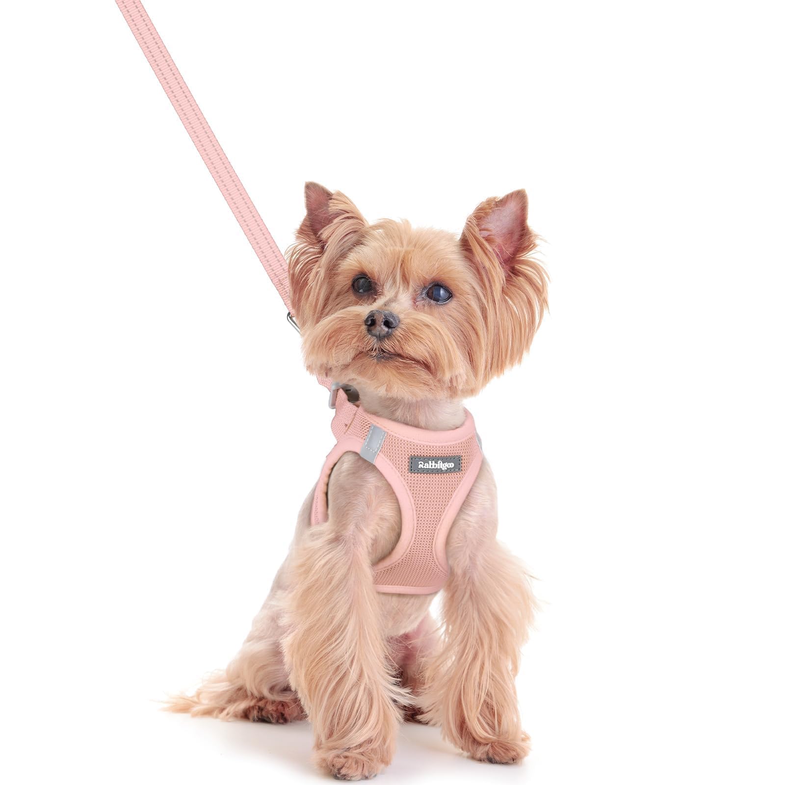 rabbitgoo Dog Harness Small Sized and Leash Set, Step-in Puppy Pet Vest