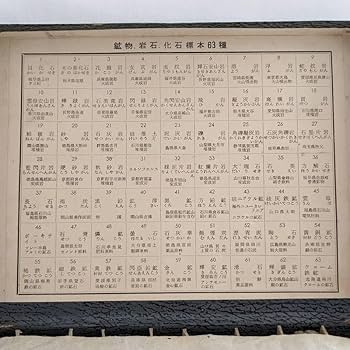 Amazon | 地学標本63種鉱物岩石化石標本石貝化石木の葉化石溶岩