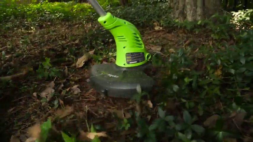 Watch GreenWorks 21212 4Amp 13-Inch Corded String Trimmer on