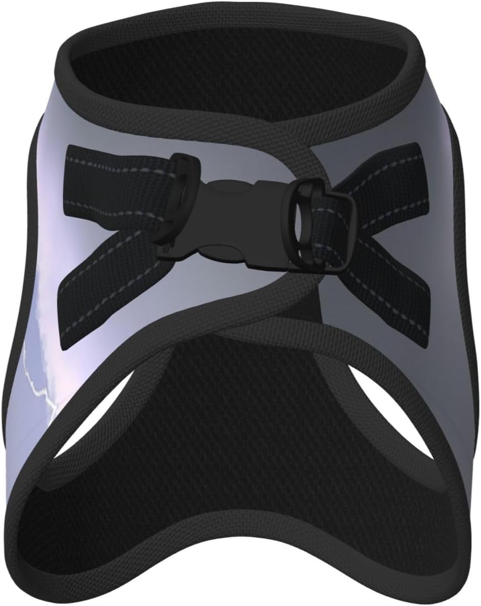 Cross Dimensional Lightning Pet Vest Small Size Dog Harness and Leash Set for Training, Reflective & Adjustable Without Accessories Medium