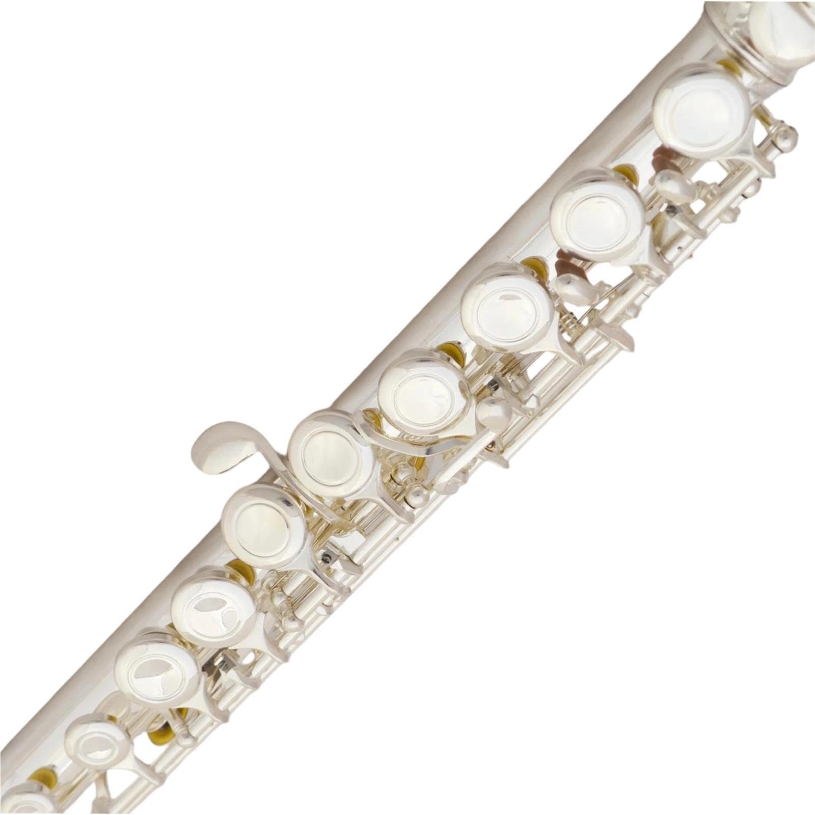 Flute Instruments Flet z wpustem C z 16 otworami