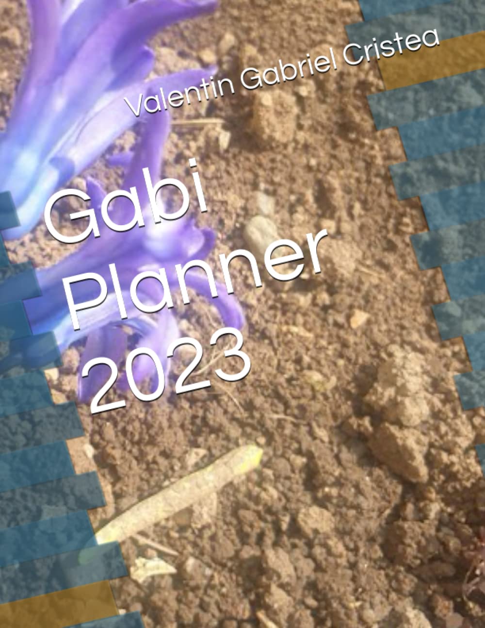 Independently published Gabi Planner 2023