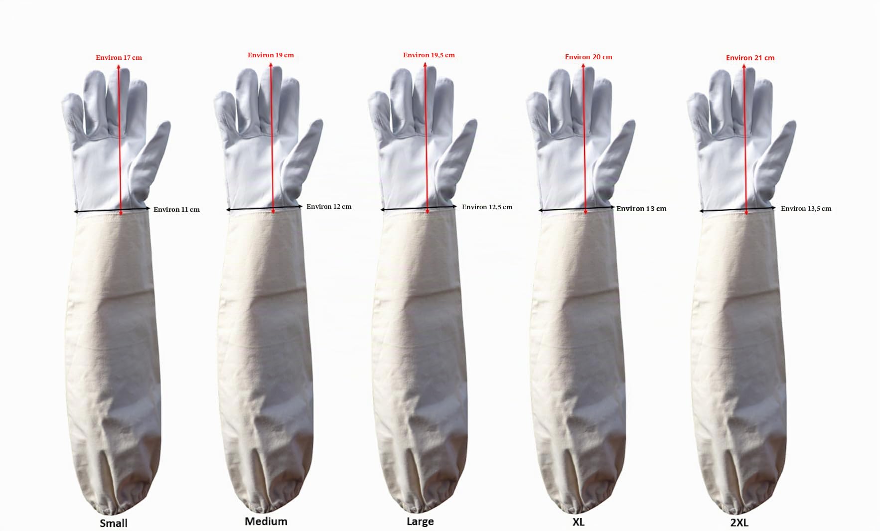 AGS Gants d'apiculteur en peau de chèvre - Gants de protection pour apiculture - Taille S