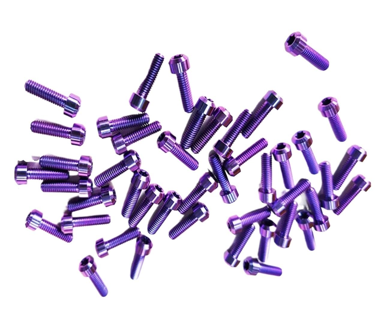 Generico Bulloni in Titanio con Testa Tonda Torx M5/M6/10/15/20/25/30/35/40/50/55/60/80/90/95/100/110/120/130MM Disponibili in Magazzino(M6X110MM_10PCS)