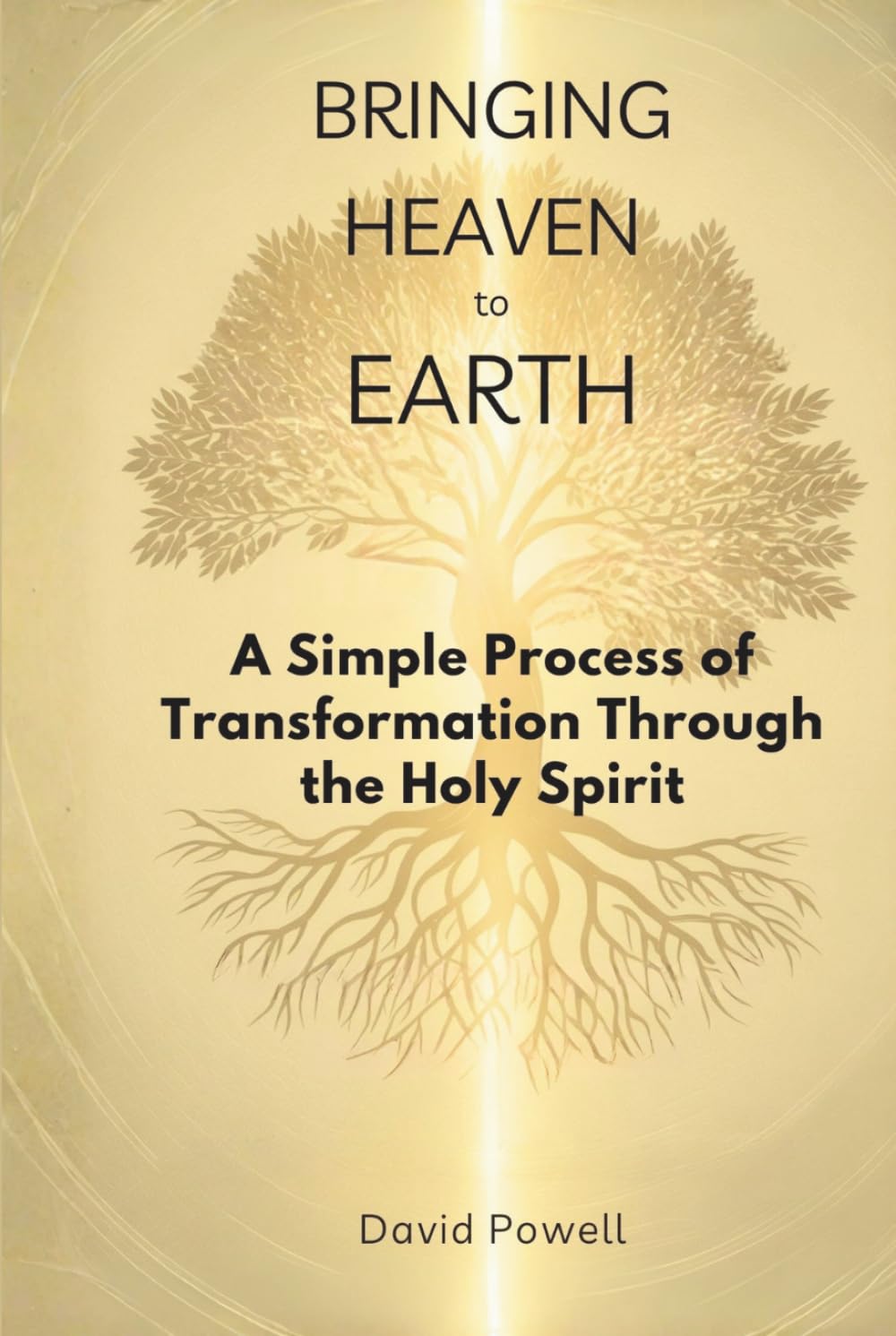Bringing Heaven to Earth: A Simple Process of Transformation Through the Holy Spirit (Christian Living and Spiritual Growth)