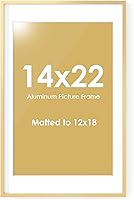 Vista 447 de Fun Memories Portarretratos de metal de 16 x 20 pulgadas con paspartú de 11 x 14 pulgadas, acabado de aluminio cepillado, parte delantera de vidrio