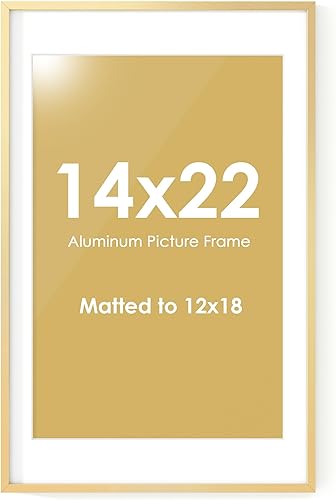 Miniatura 447 de Fun Memories Portarretratos de metal de 16 x 20 pulgadas con paspartú de 11 x 14 pulgadas, acabado de aluminio cepillado, parte delantera de vidrio