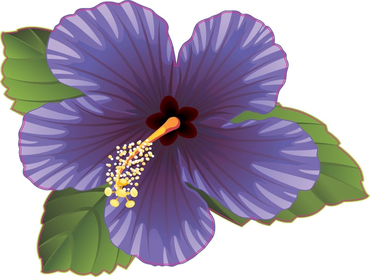 Amazon.com: StickerTalk Purple Hibiscus Flower Vinyl Sticker, 4