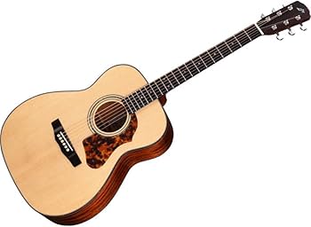 Amazon | Morris (モーリス) アコースティックギター F-LTDII NAT 日本