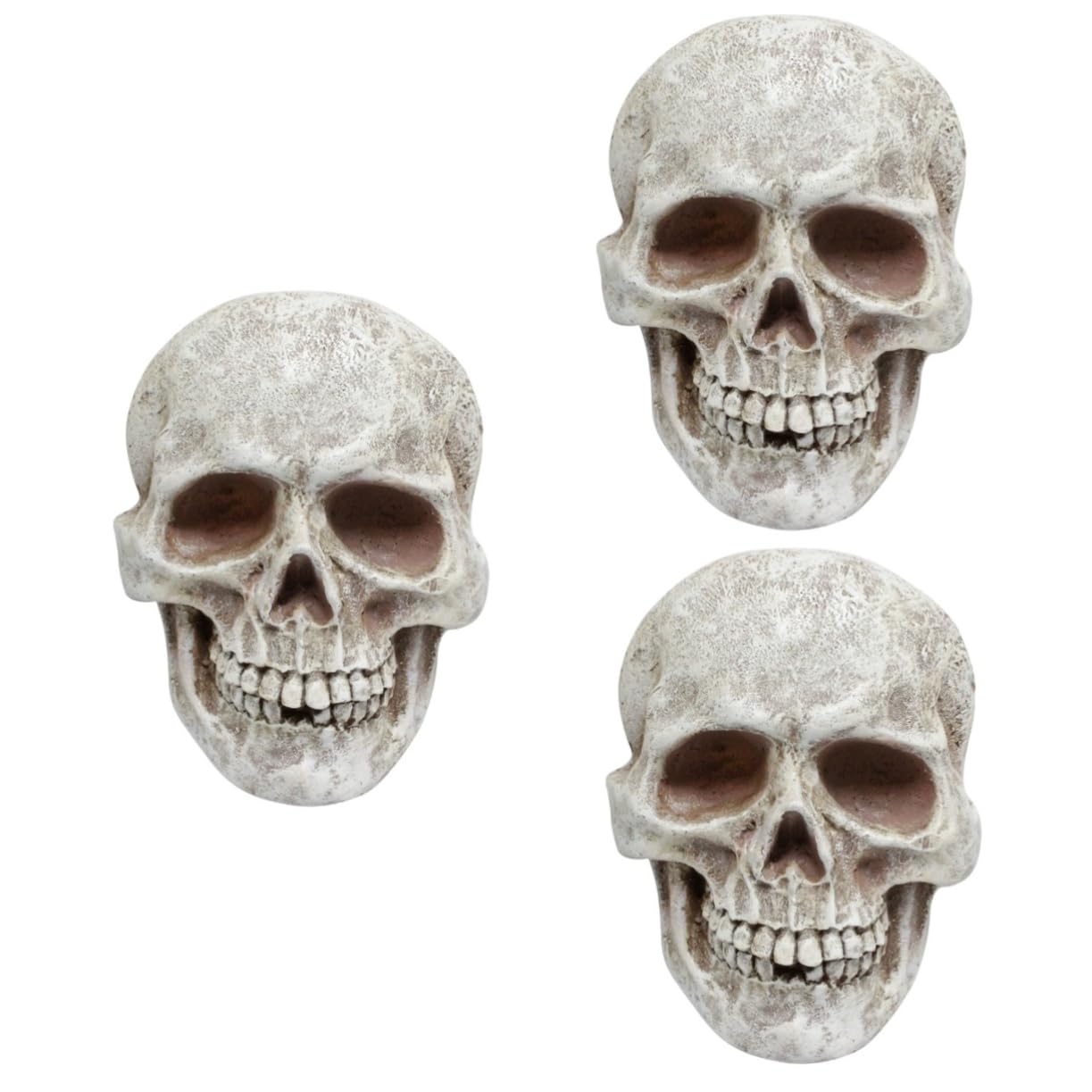 3 Piezas de Calaveras de Esqueleto para Fiestas de Halloween, Accesorios para Casas embrujadas, decoración de Casas embrujadas, Modelo de Esqueleto, Adornos de Cabezas de Calavera