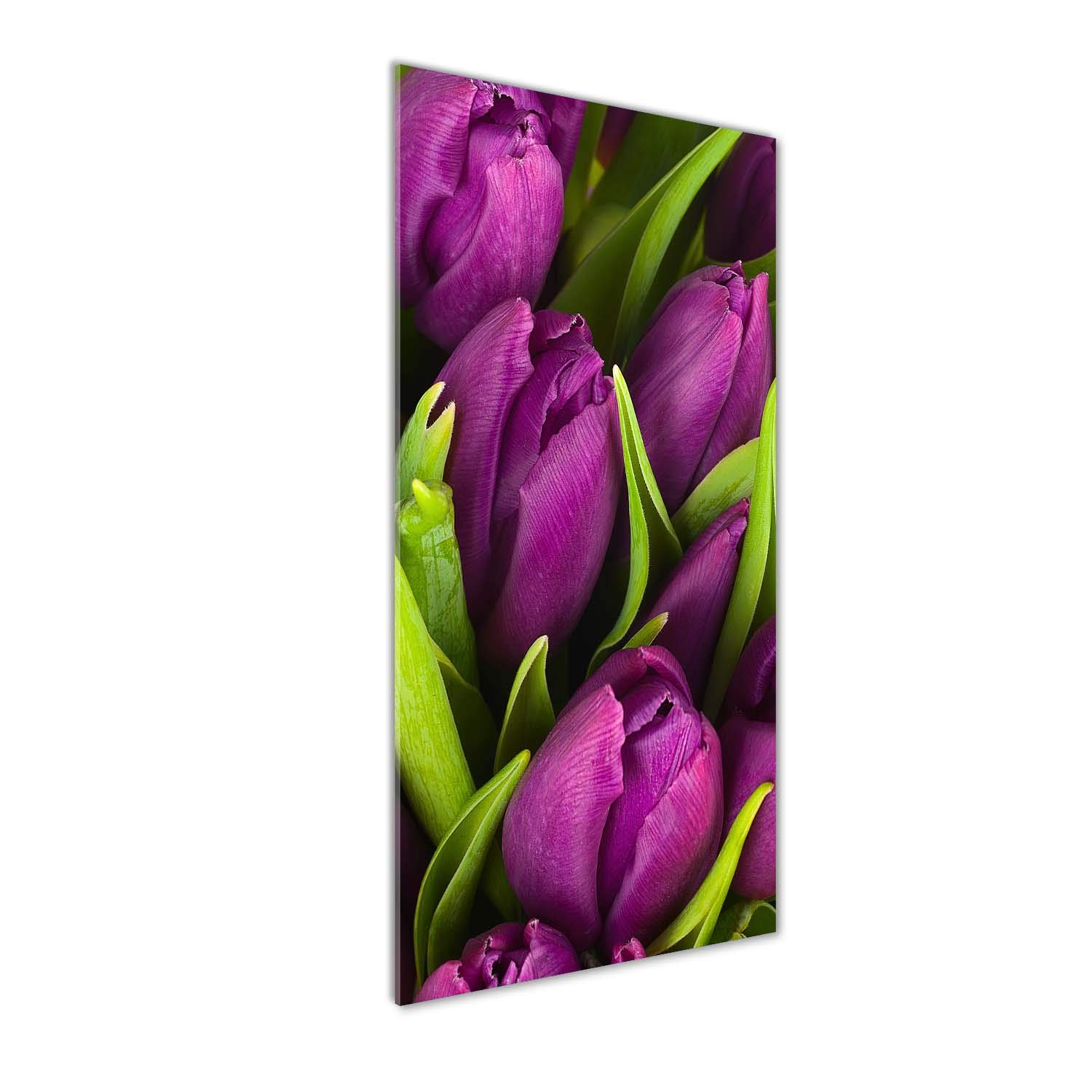 Image sur verre acrylique fleurs et plantes violettes Tulup 50x125 pour mural art moderne