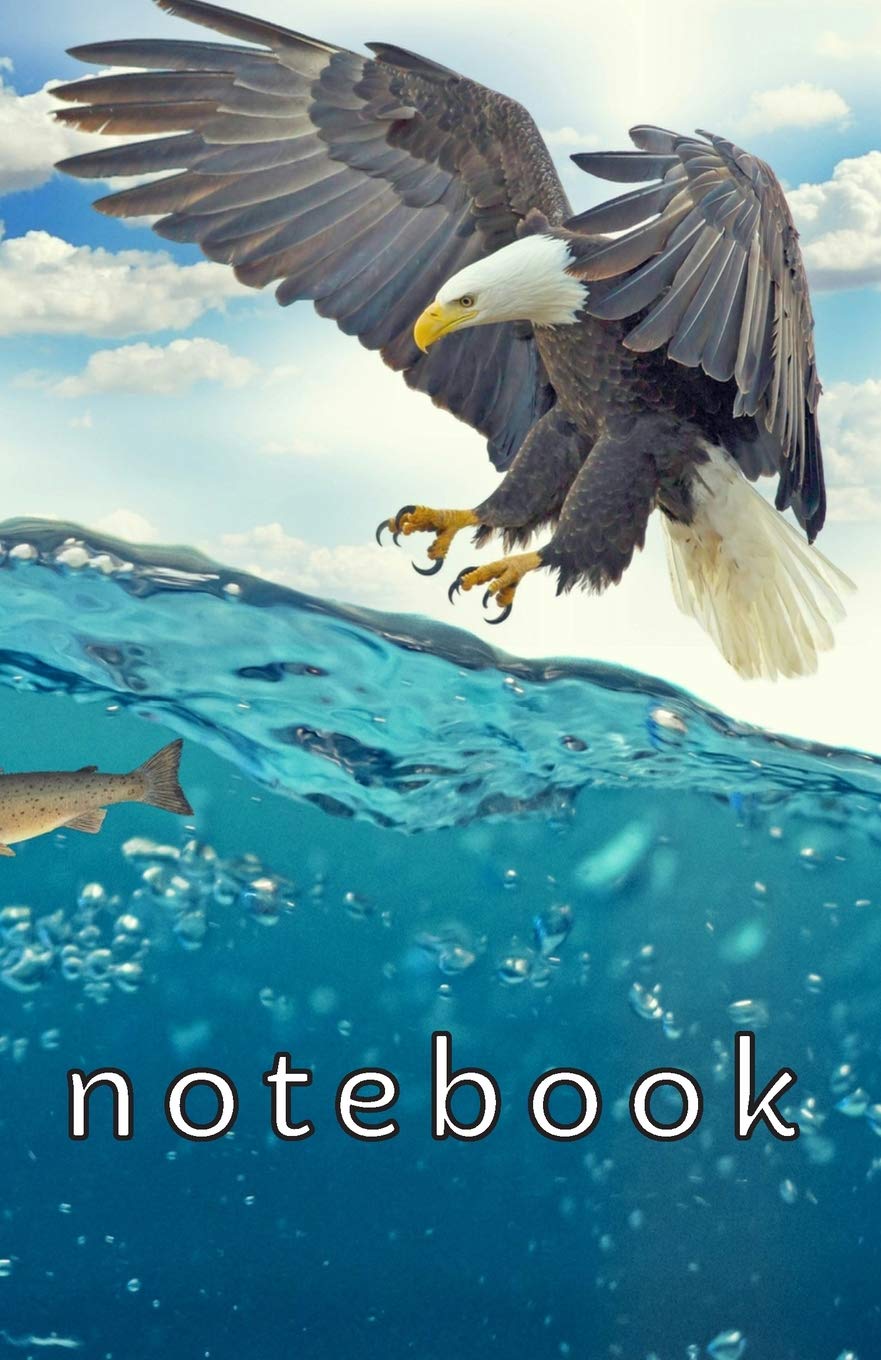 notebook: White tailed sea eagle - 5.06"x7.81" (12.85x19.84cm) journal/diary/lists.