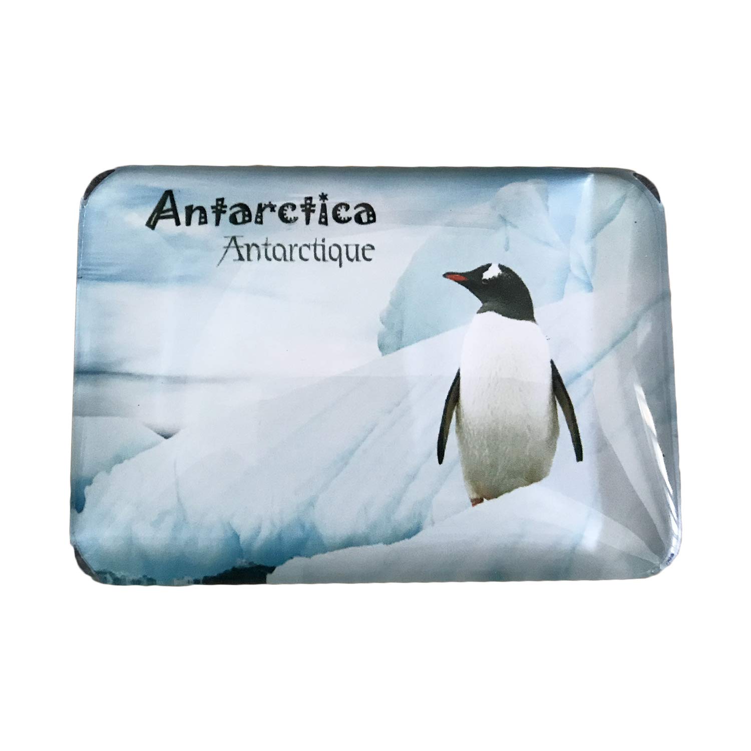 3D Antártico Pengu Frigorífico Imán De Nevera Imán De Cristal