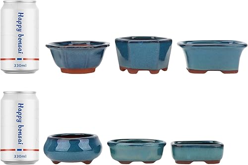 Miniatura 7 de Juego de 6 macetas para suculentas de Bonsái + 6 pantallas de drenaje de malla suave