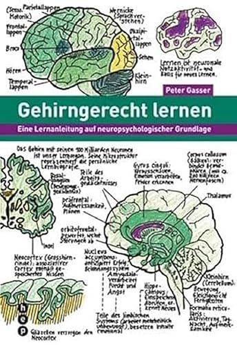 Gehirngerecht lernen: Eine Lernanleitung auf neuropsychologischer Grundlage