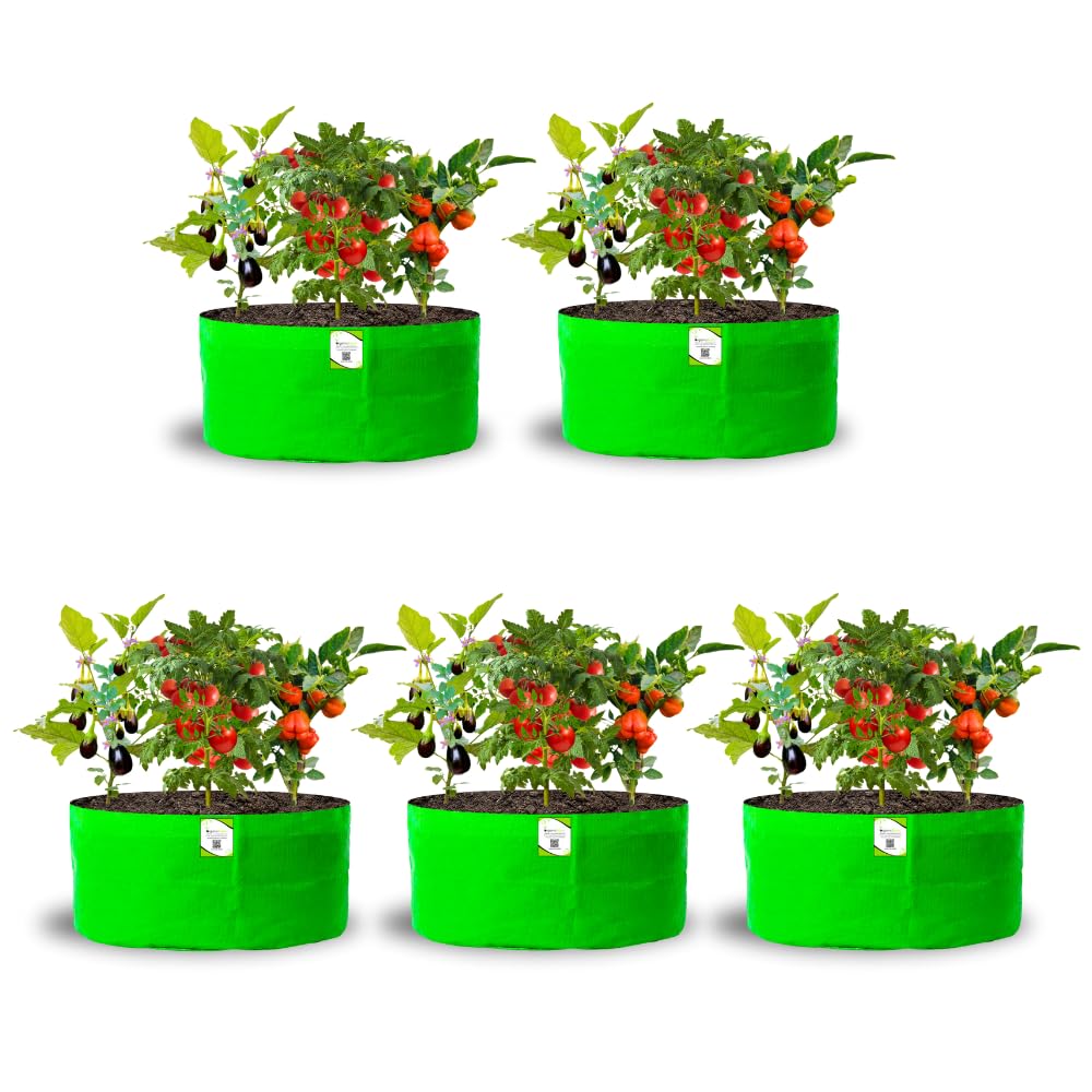 Big Fruit Plant Grow Bags - Organic Bazar (Pack of 2) -12 Big Fruit Plant Grow Bags - Organic Bazar (Pack of 2) -12