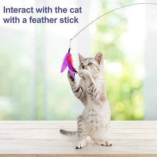 Miniatura 7 de Juguetes interactivos de plumas para gatos, Dorakitten Cat Potente ventosa de mano, varita teaser de mano y 5 plumas de repuesto con campana para