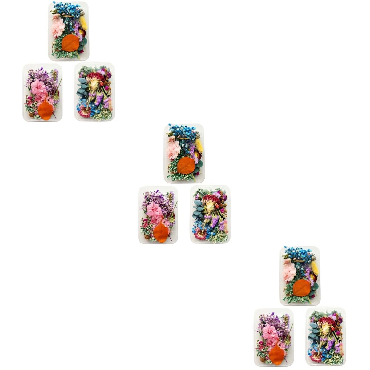 PRETYZOOM 9 Scatole fiori secchi fai da te fatti a mano fiori secchi per unghie pressati decorazioni unghie ornamenti di fiore fritto colorato fiore secco Colorful