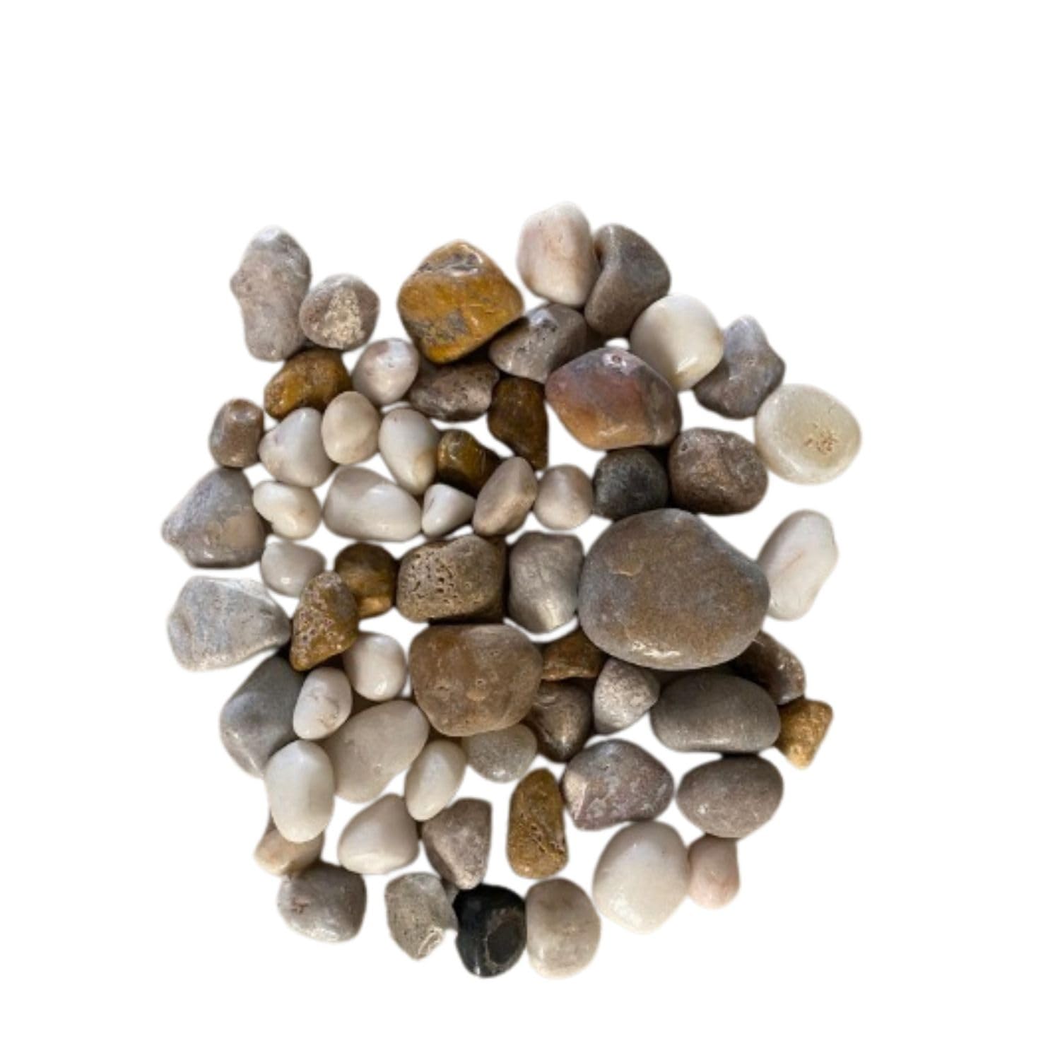 Foodie Puppies Decorative Ornamental River Stone (Tree Agate, 450gm) (2cm - 3cm) | Perfect Pebble for Aquarium Tank, Vase Fillers, Home, Landscape Decoration, Garden (B0BT9FTNV2) Amazon Price History, Amazon Price Tracker