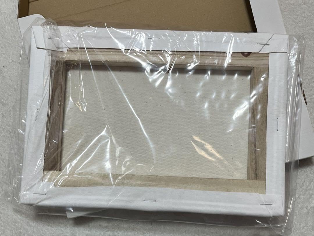 Amazon.co.jp: プリキュア キラキラプリキュアアラモード プリアラ