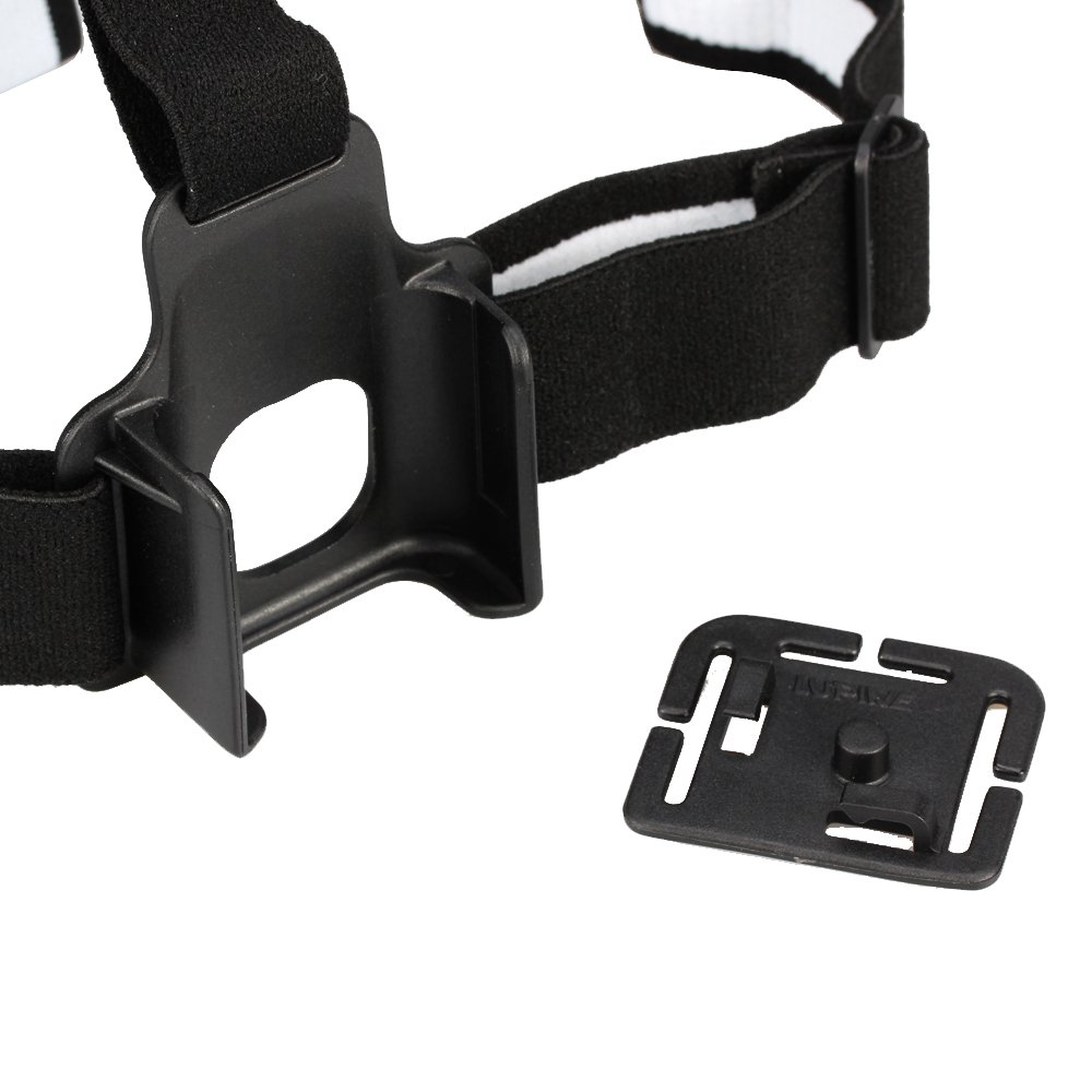 Lupine FrontClick Stirnband