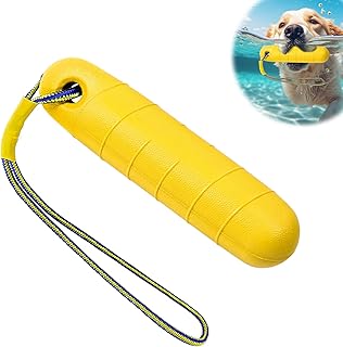 Feirdhoo Hundespielzeug, Wasserspielzeug Hund,Interaktives Hundespielzeug,22CM Schwimmspielzeug Hunde mit Nylon Rope, Trainieren und Apportieren im Wasser, für Mittelgroße,Große Hunde product image