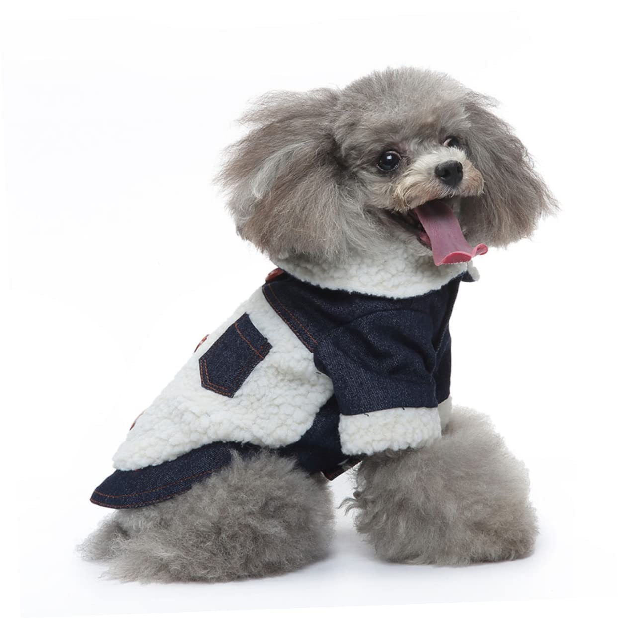 YARNOW 2pièces Manteau Hiver pour Chien Coton Respirant Chaude Et Coupe-Vent pour Animaux Vêtement Stylé Et Confortable Beige