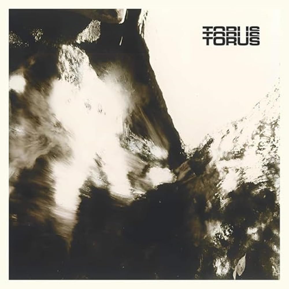 Torus (Cover may vary)