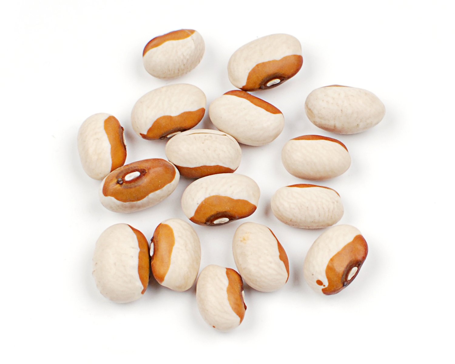 D'Allesandro American Yellow Eye Steuben Beans - 10 lb Bulk Pack, Creamy Texture and Mild Flavor