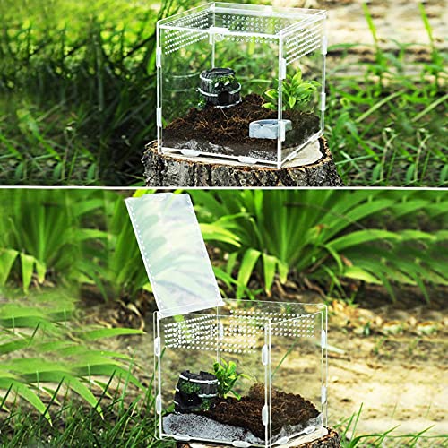 Reptiel voederdoos: transparante reptielkweekbox, huisdier acryl 360 graden hoge transparante magnetische klimdoek… - Afbeelding 6