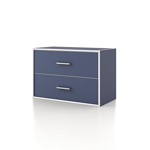 Homes: Inside + Out Apexa 2-Drawer Wooden Stackable Storage Drawers,