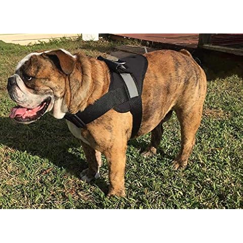 HDP Big Dog Soft No Pull Harness Size:Large Color:Black Cover