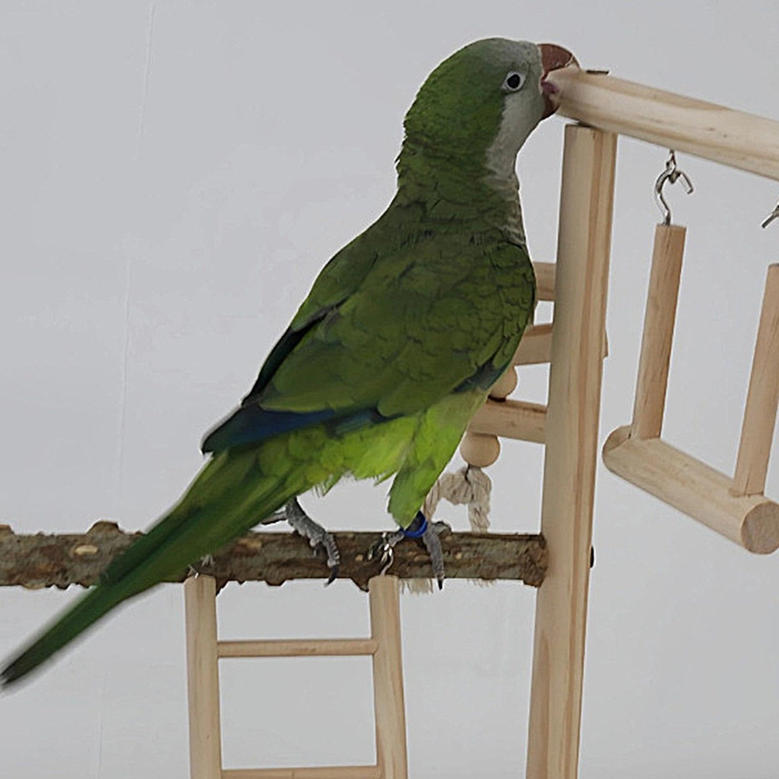 Parque de Juegos para pájaros, Loros, Soporte de Madera para pájaros, Parque de Juegos para periquitos, con Taza de alimentación y Bandeja, Juguetes para pájaros, Juguete de Ejercicio para