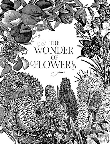 Plant Lore and Legend: The Wisdom and Wonder of Plants and Flowers Revealed - Image 2