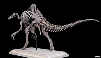 Amazon | 恐竜博物館 1/20 サイズ デイノケイルス Deinocheirus