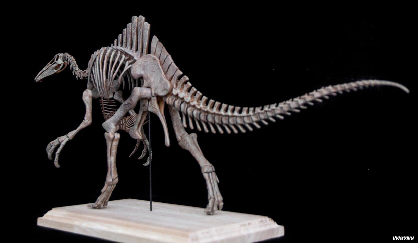 Amazon | 恐竜博物館 1/20 サイズ デイノケイルス Deinocheirus 骨格