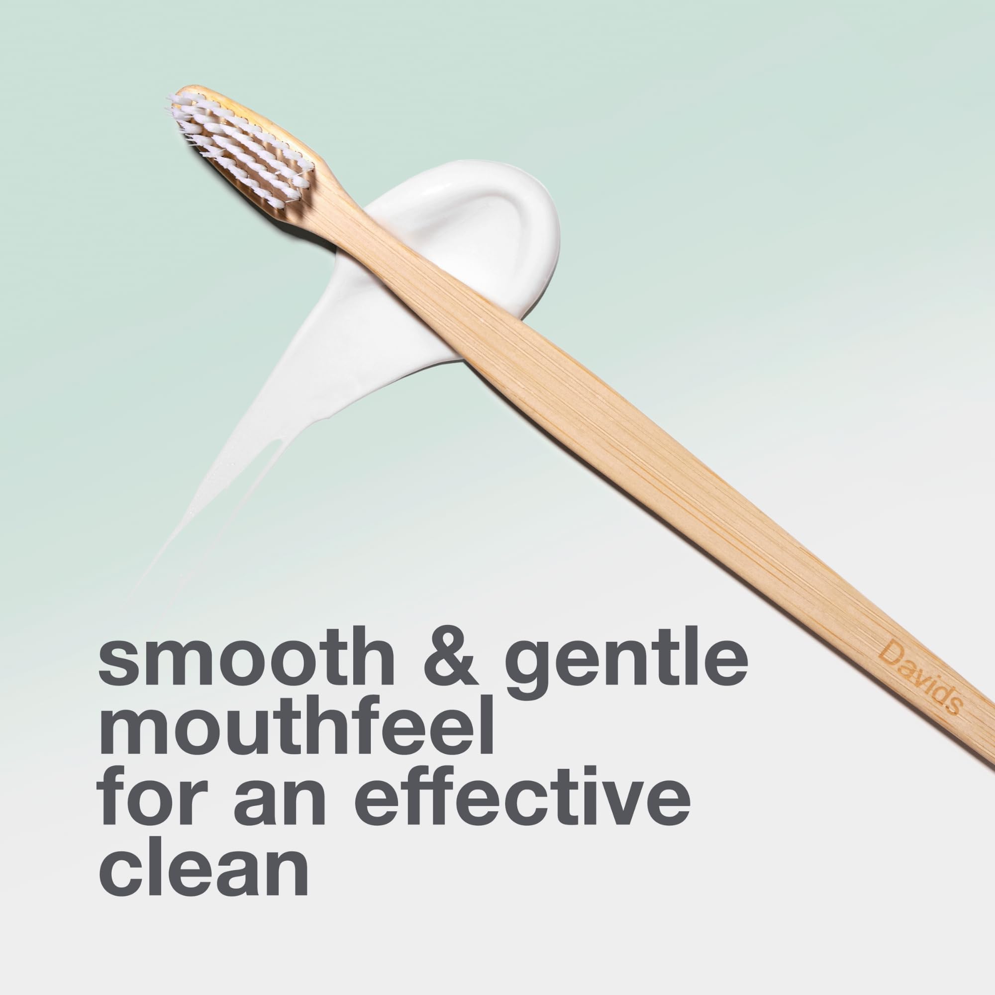 Davids Spazzolino da denti in bambù di alta qualità, confezione da 3 spazzolini da denti senza BPA ad alte prestazioni con setole morbide per adulti, manico in bambù naturale al 100%