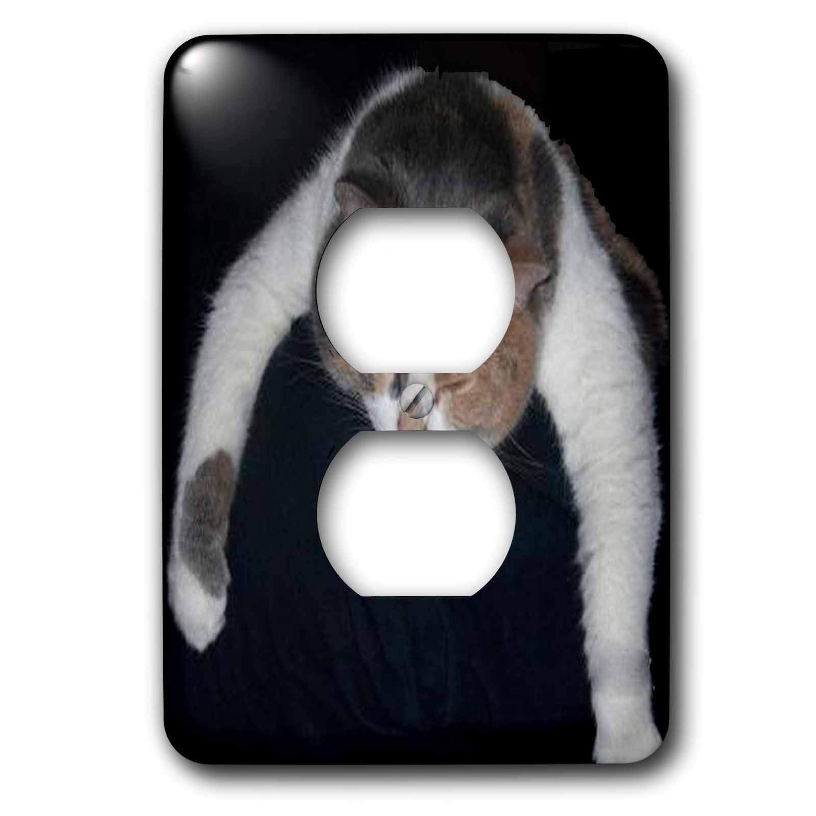 Cache de prise pour chat dormant 2 prises murales multicolore