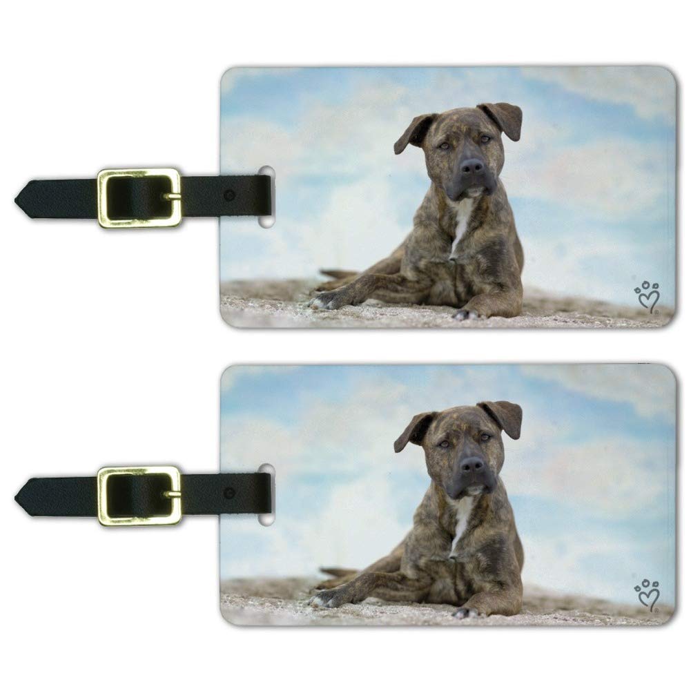 Staffy Staffordshire Bull Terrier Beach Luggage ID Tags Cards Set of 2