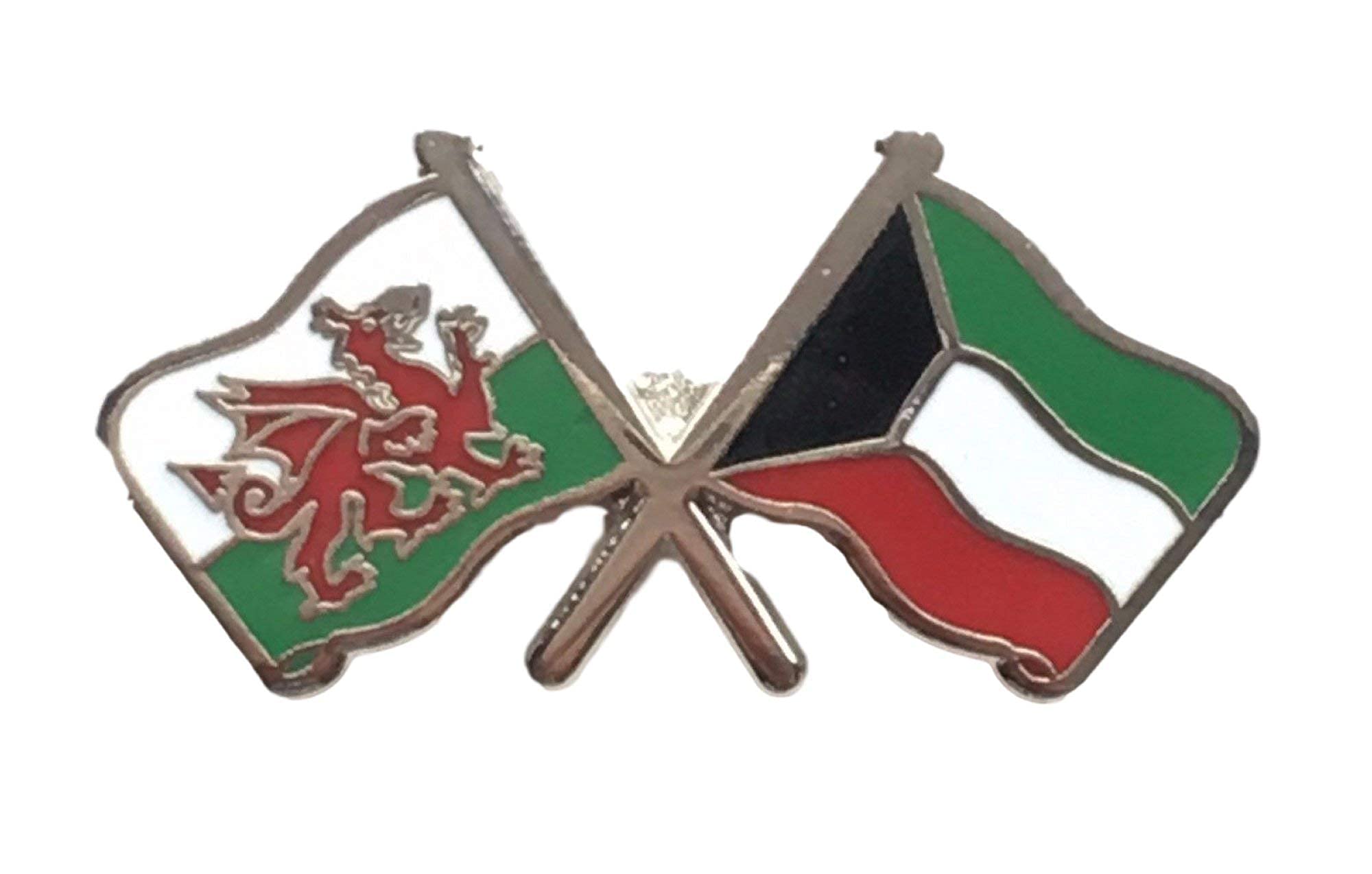 emblems gifts Wales & Kuwait Flags Friendship Courtesy Enamel Lapel Pin Badge T727