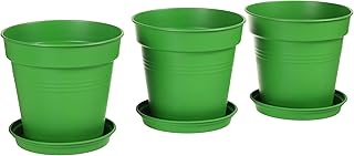 Mintra STAND PLANET POT ROUNDED + PLATE COLORES 15 CM MODEL 4 99039 multi color