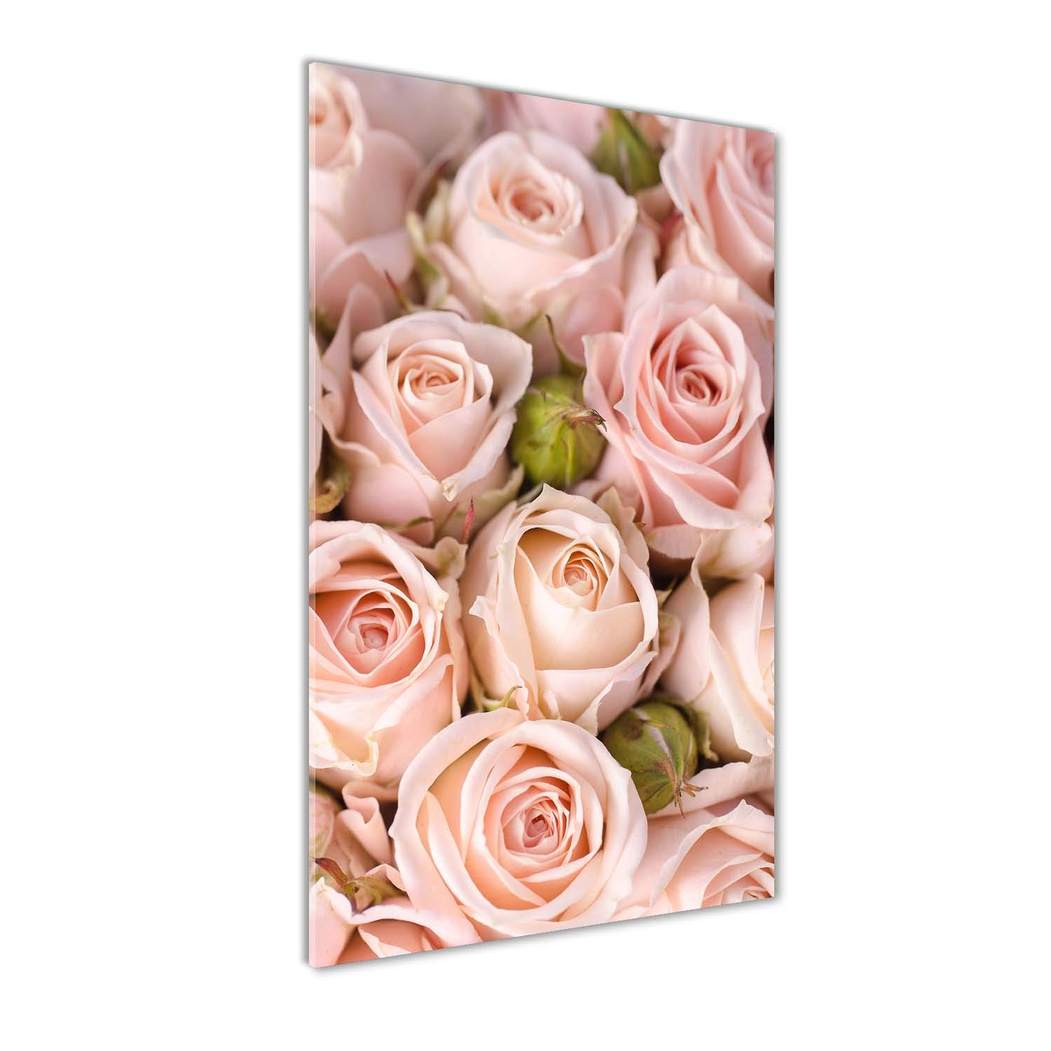 Peinture sur verre trempé 70x140cm tableau mural anti-poussière rose