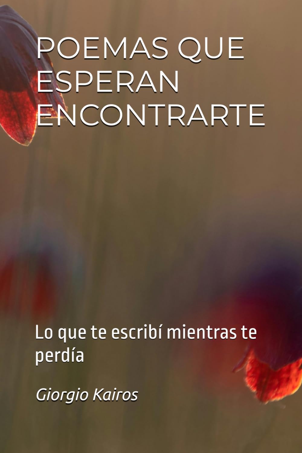 POEMAS QUE ESPERAN ENCONTRARTE: Lo que te escribí mientras te perdía