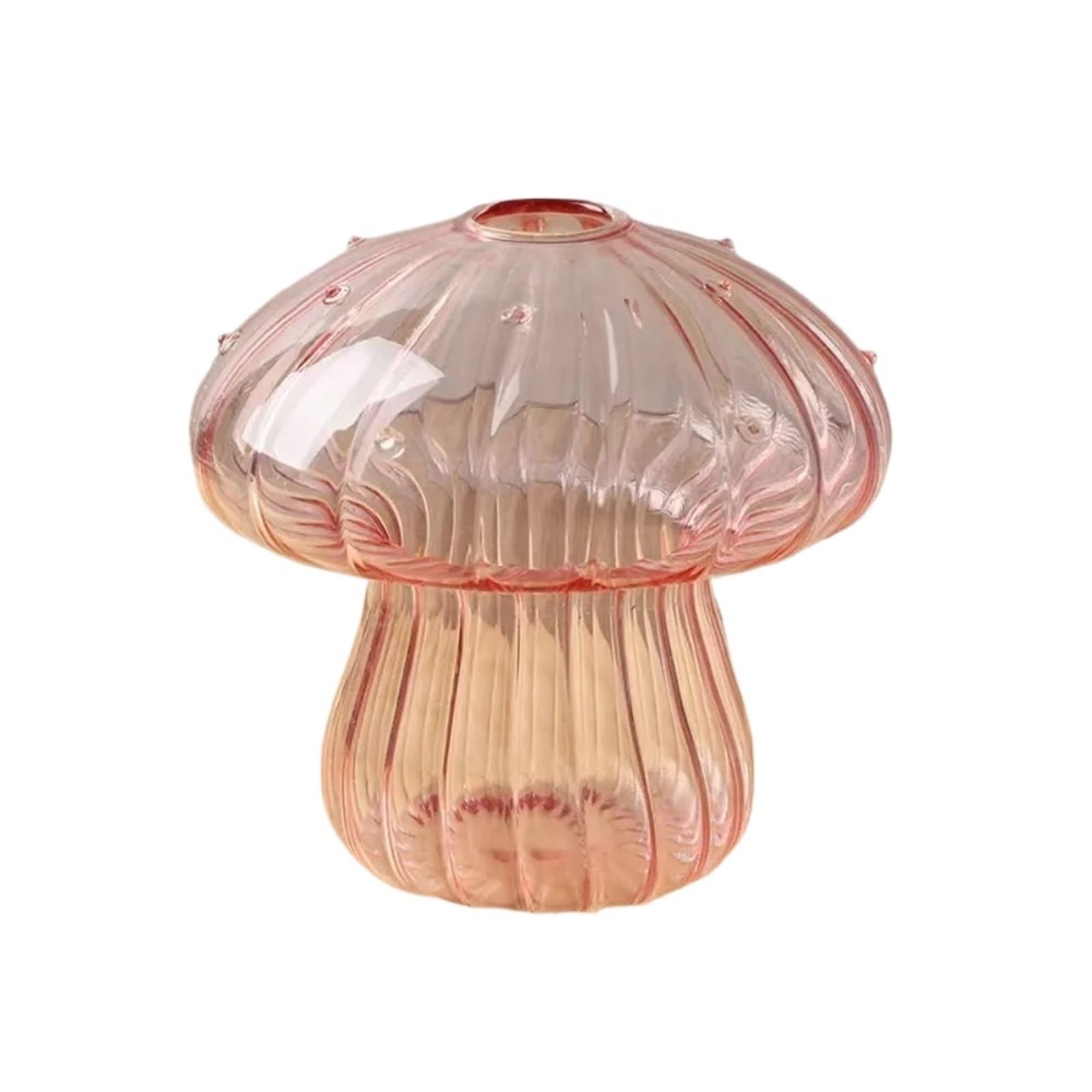 QuxetlRyz Glass Hydroponic Vase Hydroponic Flower Bottle Mushroom Glass Aromatherapy Transparent Home Decoration(Size 5)