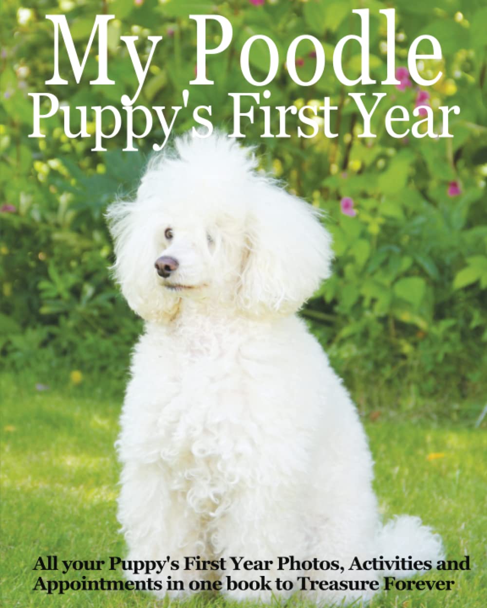 My Poodle Puppy's First Year: All your Puppy's First Year Photos, Activities and Appointments in one book to Treasure Forever, gifts, Dogs Memory ... chart and pampered pup appointments etc.