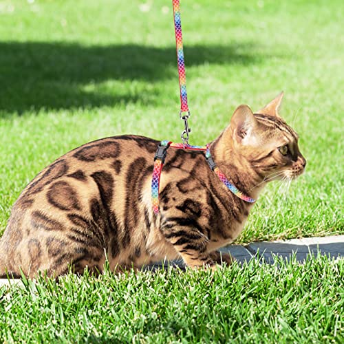 PAWCHIE Cat Harness with Leash and Collar Set - Escape Proof Adjustable Cat Harness Glow in The Dark for Kitty Outdoor Walking - Image 6